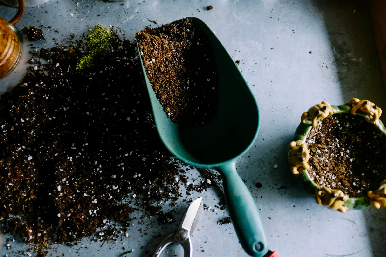 Gardener working among healthy plants