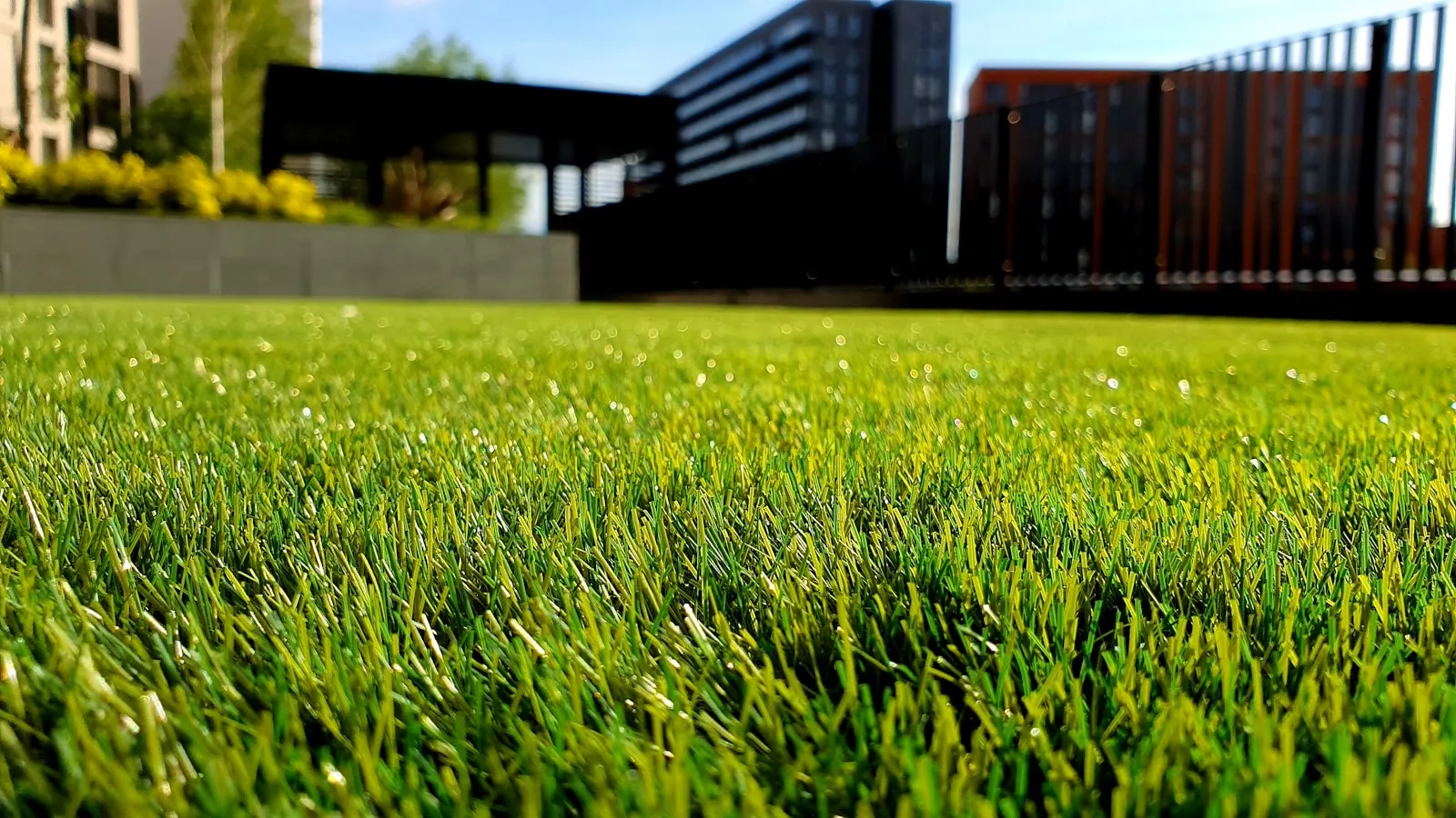 Freshly maintained lawn