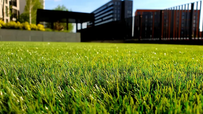 Northline landscaping website preview